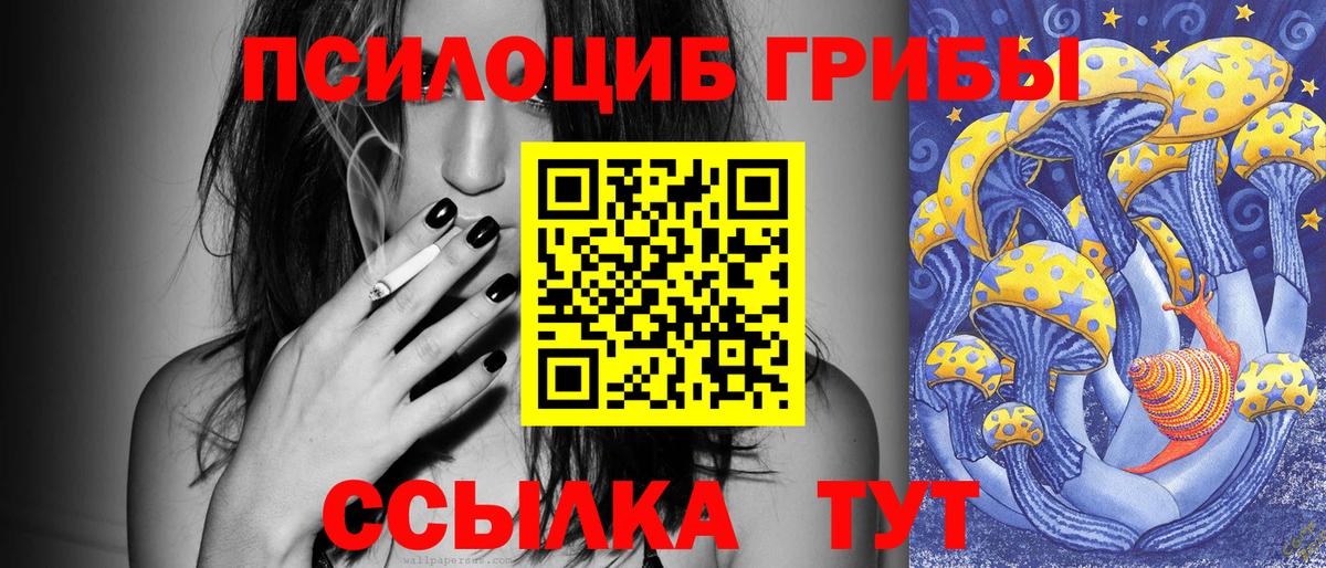 Галлюциногенные грибы Psilocybine cubensis Минусинск