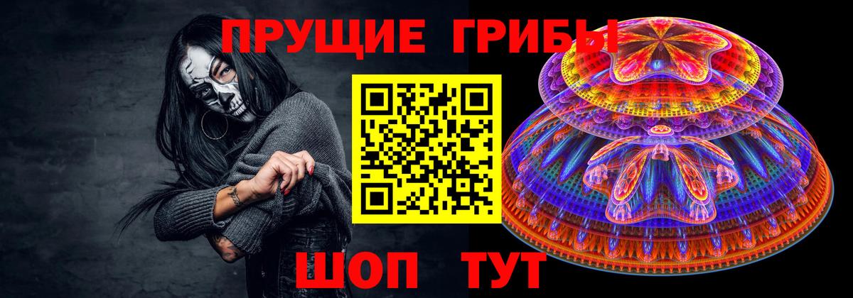 Псилоцибиновые грибы ЛСД  Вход с VPN  Минусинск  Псилоцибиновые грибы GOLDEN TEACHER 